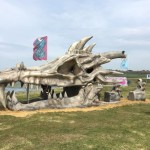 Dragon-Boat-Race